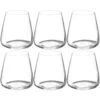 Secret De Gourmet Tumbler Glazen - 6 St - 430 Ml - Selenga